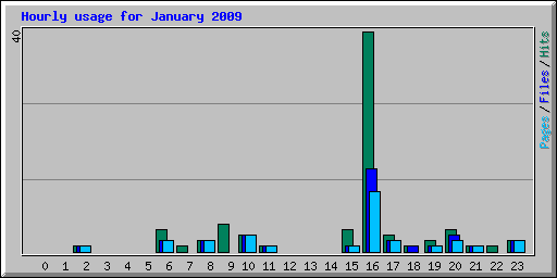 Hourly usage for January 2009